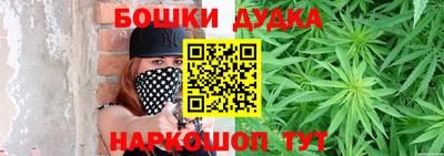 дурь Сланцы
